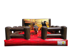 BULL1 1768863885 Mechanical Bull